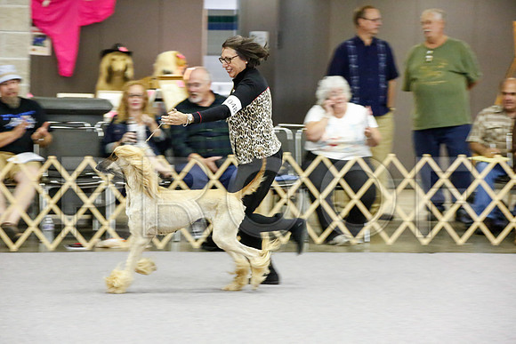 _JJ_8114-AfgBeltonOct2014-HR3
