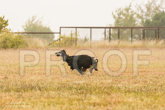 _MJ_2910-AfgBeltonOct2014-HR3