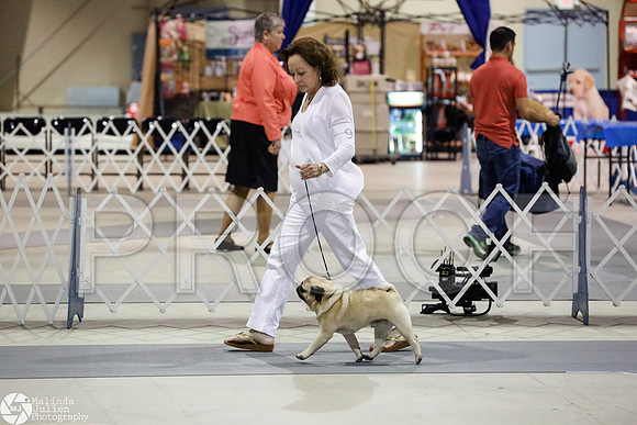 _RH_4452-SanAntonioJul2014-HR