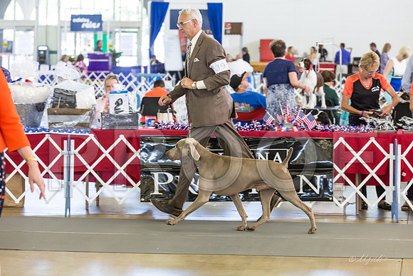 Weim Thurs Specialty BOB-MJJL0334-HR3