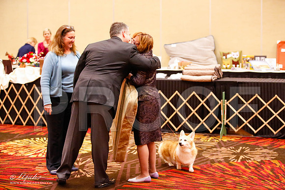 _JJ_0968-HstnCorgiFeb2015-HR3