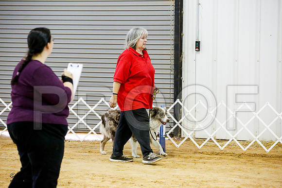 _JJ_0760-ASCACollegeStationNov2014-HR3