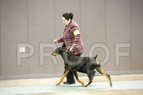 _JN_1885-BeltonJan2015-HR3