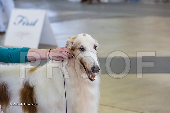 Hound Group Fri-MJJL1869-HR3