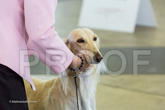Hound Group Fri-MJJL1873-HR3