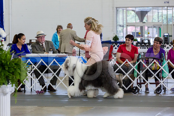 Best in Show Ring FriMJJL5046-HR3