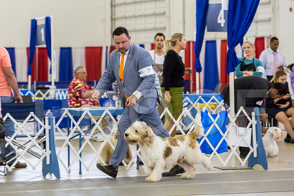 Best in Show Ring FriMJJL5047-HR3