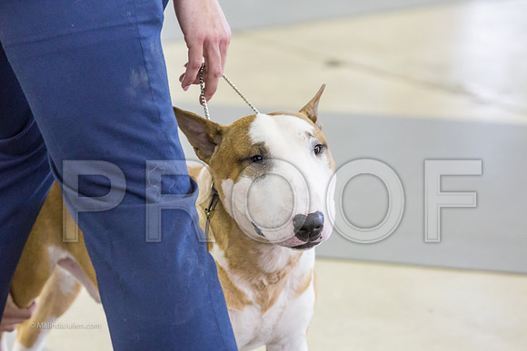 Terrier GroupMJJL3033-HR3