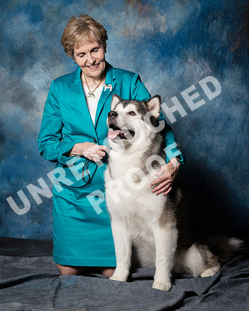 Alaskan Malamute Shari James Marlo-SSR_1568-HR3