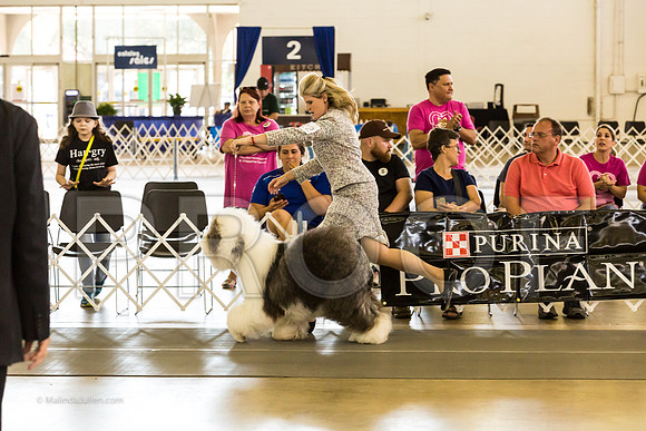 Best in Show Sat RingsMJJL9451-HR3