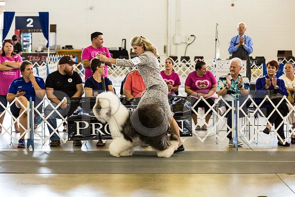 Best in Show Sat RingsMJJL9448-HR3