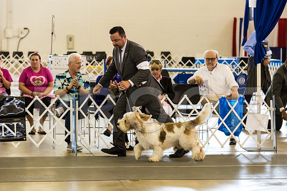 Best in Show Sat RingsMJJL9454-HR3