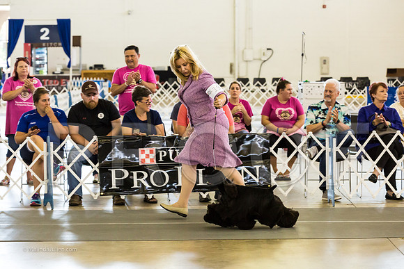 Best in Show Sat RingsMJJL9467-HR3