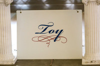 Toy Group Sat Rings
