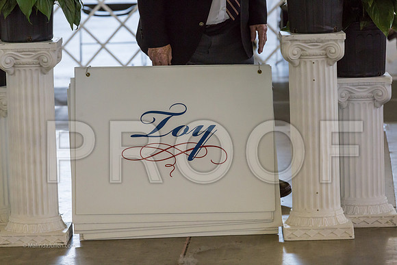 Toy Group Sun-MJJL2651-web