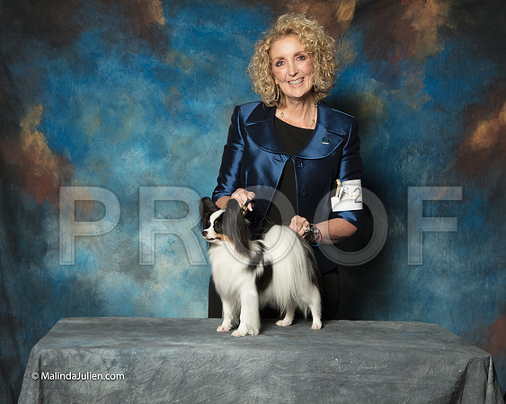 Papillon Danae Fayard BISS-SSR_1699-HR3
