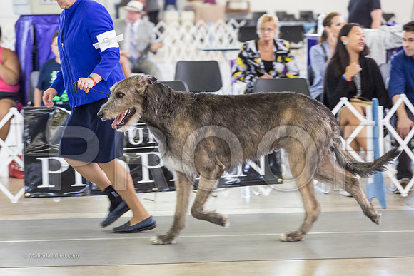 Hound Group Sun RingMJJL1190-HR3