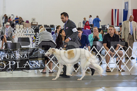 Hound Group Sun RingMJJL1194-HR3