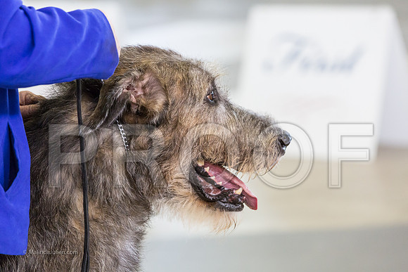 Hound Group Sun RingMJJL1204-HR3