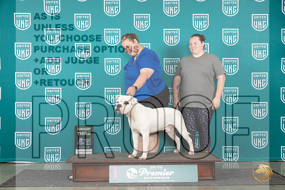 American Bulldog #773 Sat G3 Judge Lori Sargent__JP_2384_Premier_2024_HR3