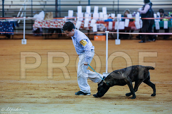 _RH_2203-MarshDec2014-HR