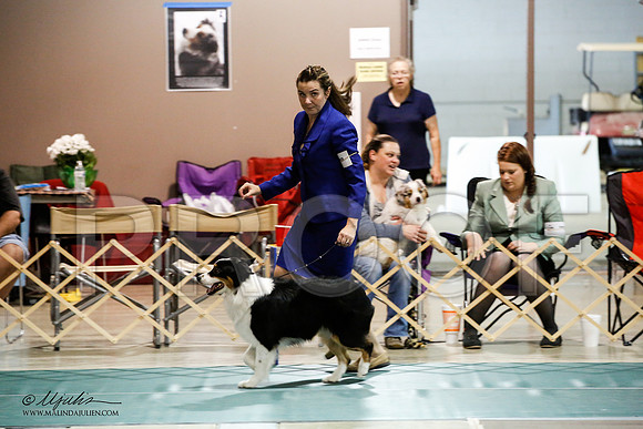 _JN_6189-ASCACollegeStationNov2014-HR3