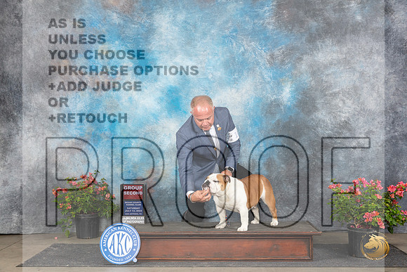 Bulldog #16 Sat G2 Judge Karen McFarlane__JP_5556_San Antonio_2024_HR3
