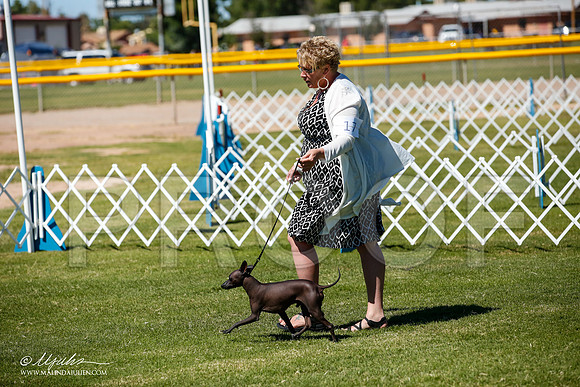 _JJ_8271-AlamogordoOct2014-HR3