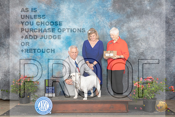 Bulldog #12 Sun OHRBIS Judge Wendy G Willhauck__JP_6447_San Antonio_2024_HR3