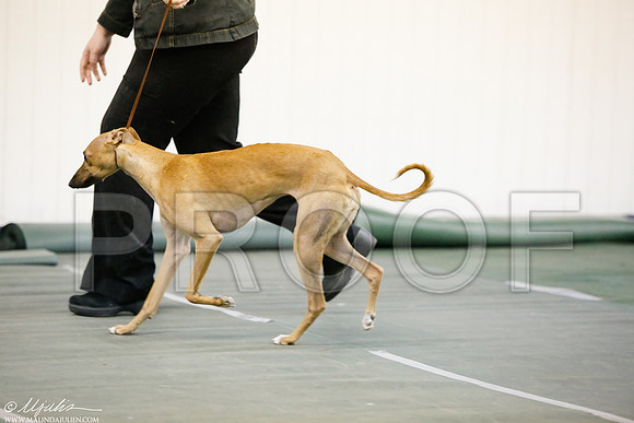 _MJ_4892-DentonMar2015-HR3