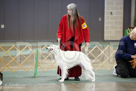 _JN_5295-BeltonJan2015-HR3