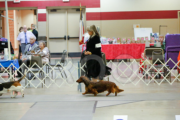 _JJ_4110-AmarilloSept2014-HR3