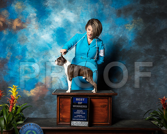 Boston Terrier #9 Fri BOW Kim Rutherford Judge Dr Carol White MoserSSR_1909-SnAntonio2018-HR3