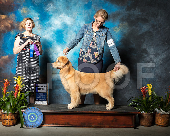 Golden Retriever #46 Fri WB Gallagher Jane Judge Dr Wanda SpediacciSSR_1916-SnAntonio2018-HR3
