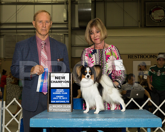 Papillon #9 Fri BOW NewCh Sally Hill Judge James Fredericksen_JJ_3734-SnAntonio2018-HR3