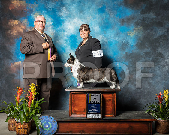 Cardigan Welsh Corgi #12 Fri  BOB Johnson Gabrielle Judge John BoothSSR_1922-SnAntonio2018-HR3