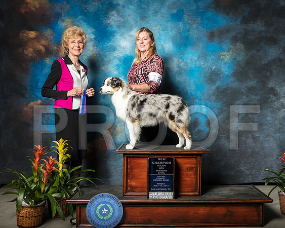Miniature American Shepherd #12 Fri BOW WB NCh Sammons Dee Judge June PentaSSR_2023-SnAntonio2018-HR3