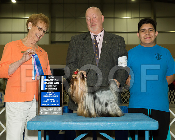 Yorkshire Terrier #9 Fri BOW NCh Hinds Bill Judge Patricia Hastings_JJ_3790-SnAntonio2018-HR3