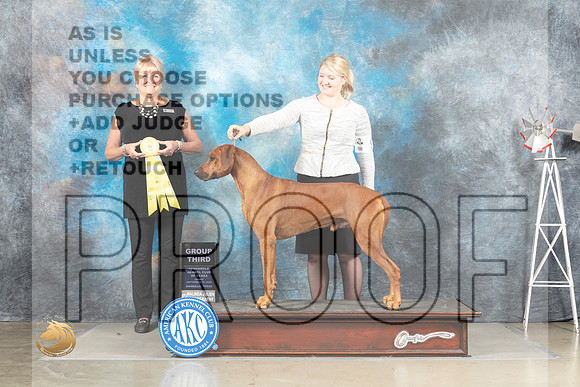 Rhodesian Ridgeback #9 Fri G3 Judge Debra Thornton_MJ_4156_Amarillo_2022_HR3