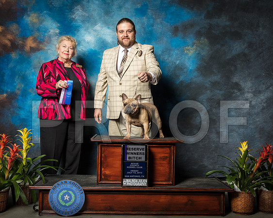 French Bulldog #18 Fri WB Gomez Carolos Judge Carol White MoserSSR_2061-SnAntonio2018-HR3