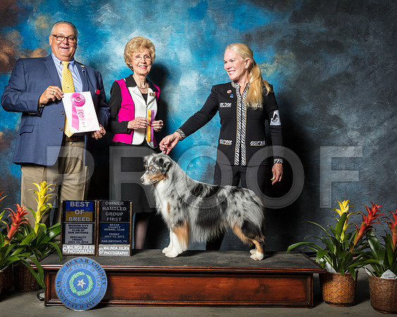 Miniature American Shepherd Fri BOB Jeannie McAdams Judges John Lucas June PentaSSR_2097-SnAntonio2018-HR3