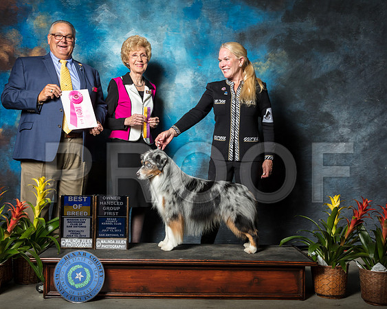 Miniature American Shepherd Fri BOB Jeannie McAdams Judges John Lucas June PentaSSR_2098-SnAntonio2018-HR3