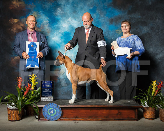 Boxer #18 Fri G1 Robbins Keith Cheryl B Wagaman D Caywood Judge James FrederiksenSSR_2184-SnAntonio2018-HR3