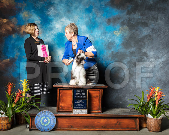 Chinese Crested #15 Fri OHG1 Golden Debi Viva Whittler Judge Dr Wanda SpediacciSSR_2293-SnAntonio2018-HR3