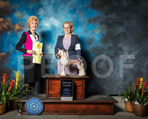Chinese Crested #6 Fri G3 Maxey Tara Judge June PentaSSR_2258-SnAntonio2018-HR3