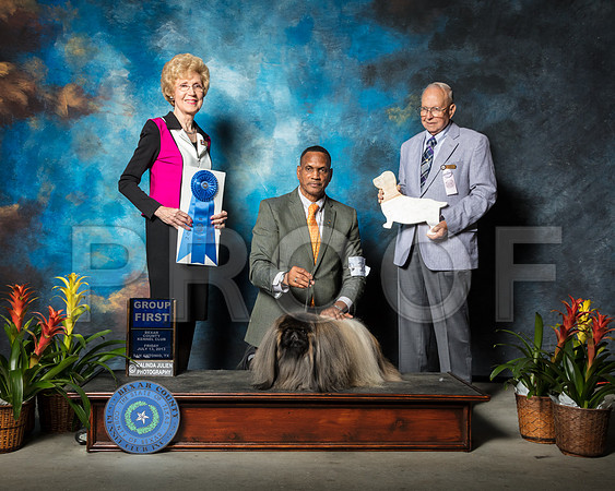 Pekingese #15 Fri G1 Ly Rick Hiram Stewart Judge June Penta Agent Hiram StewartSSR_2272-SnAntonio2018-HR3