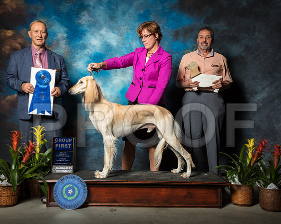 Saluki #5 Fri G1 Thornton Gerry Lori May Marinell McCowen Judge James FrederiksenSSR_2180-SnAntonio2018-HR3