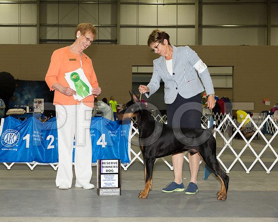 Doberman Pinscher #49 Fri RWD Singh Betty Judge Patricia Hastings_JJ_3827-SnAntonio2018-HR3