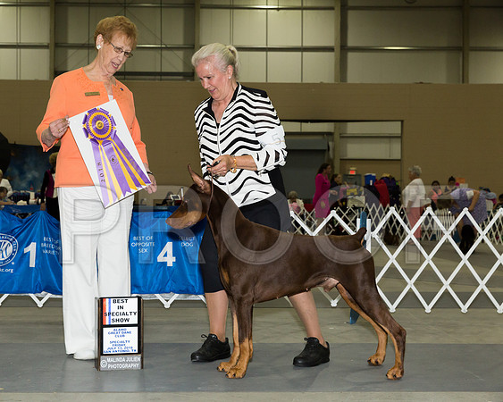 Doberman Pinscher #5 Fri BISS Field Miller Jeanne Judge Patricia Hastings_JJ_3808-SnAntonio2018-HR3