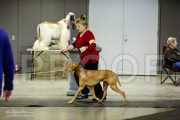 _RH_1183-BeltonJan2015IABCA-HR3